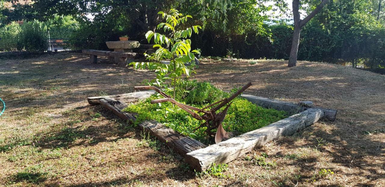 Apartamentossierradegata La Noguera Villamiel Luaran gambar